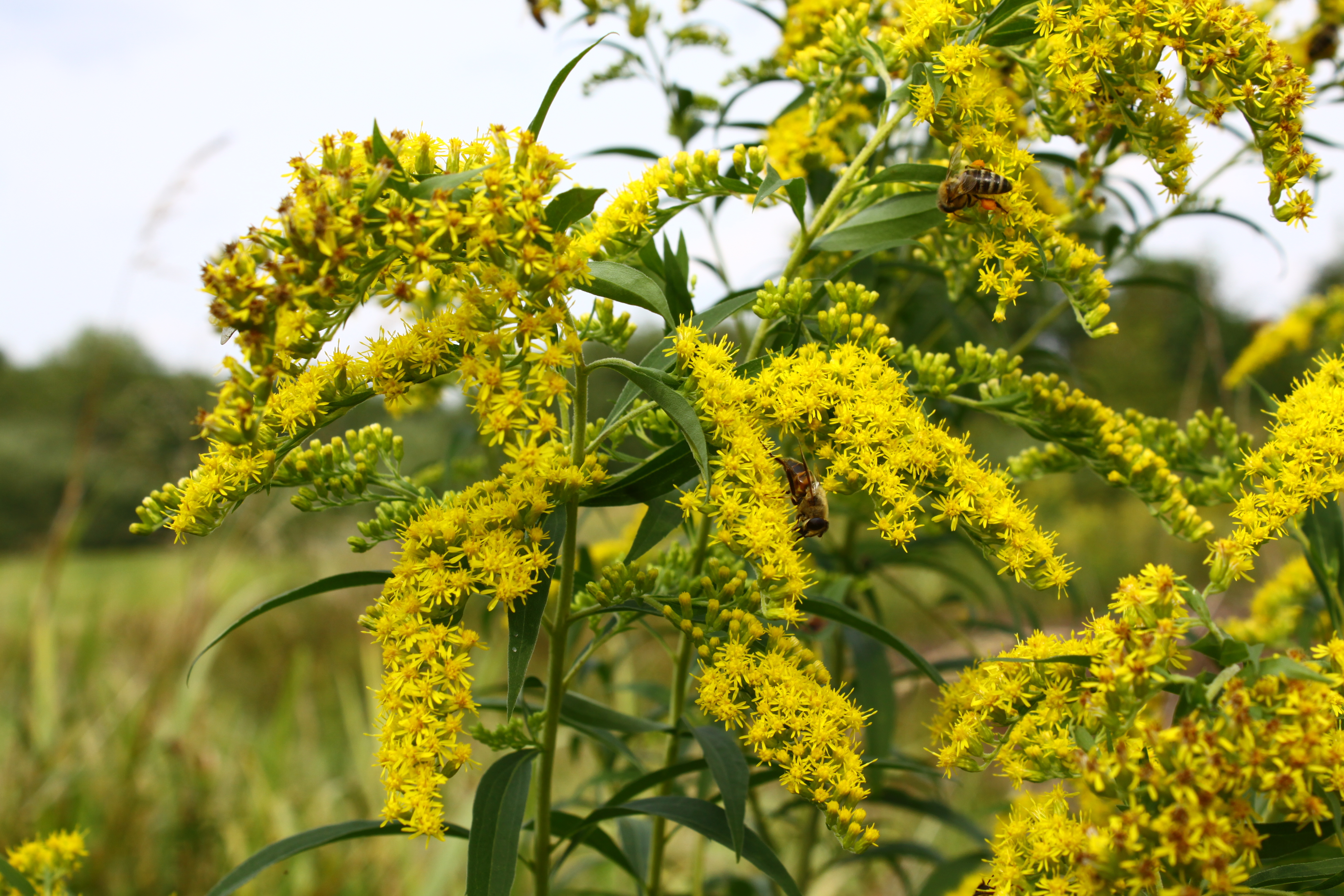 29082013001336 1708 art 573 0 069