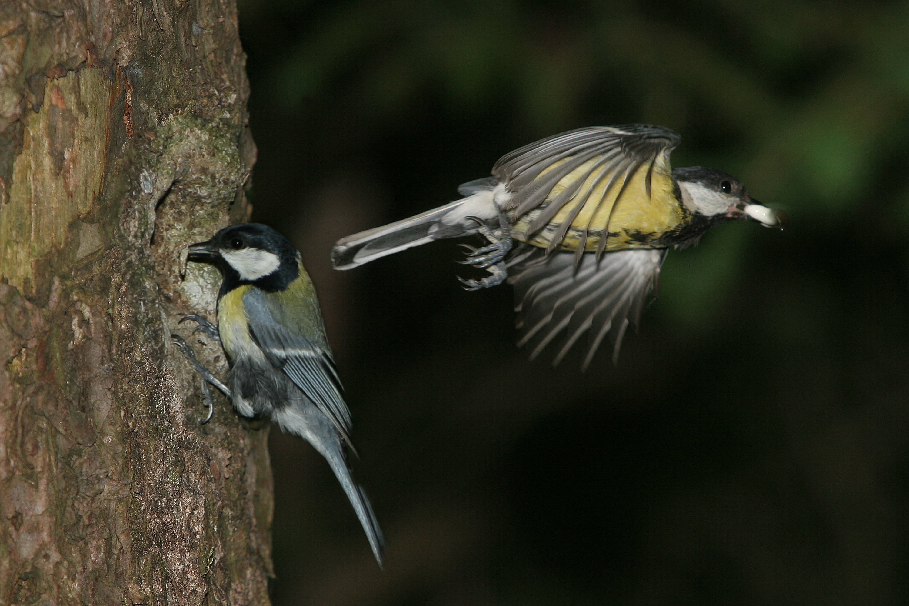 30052014092212 2434 art 1505 img 1351