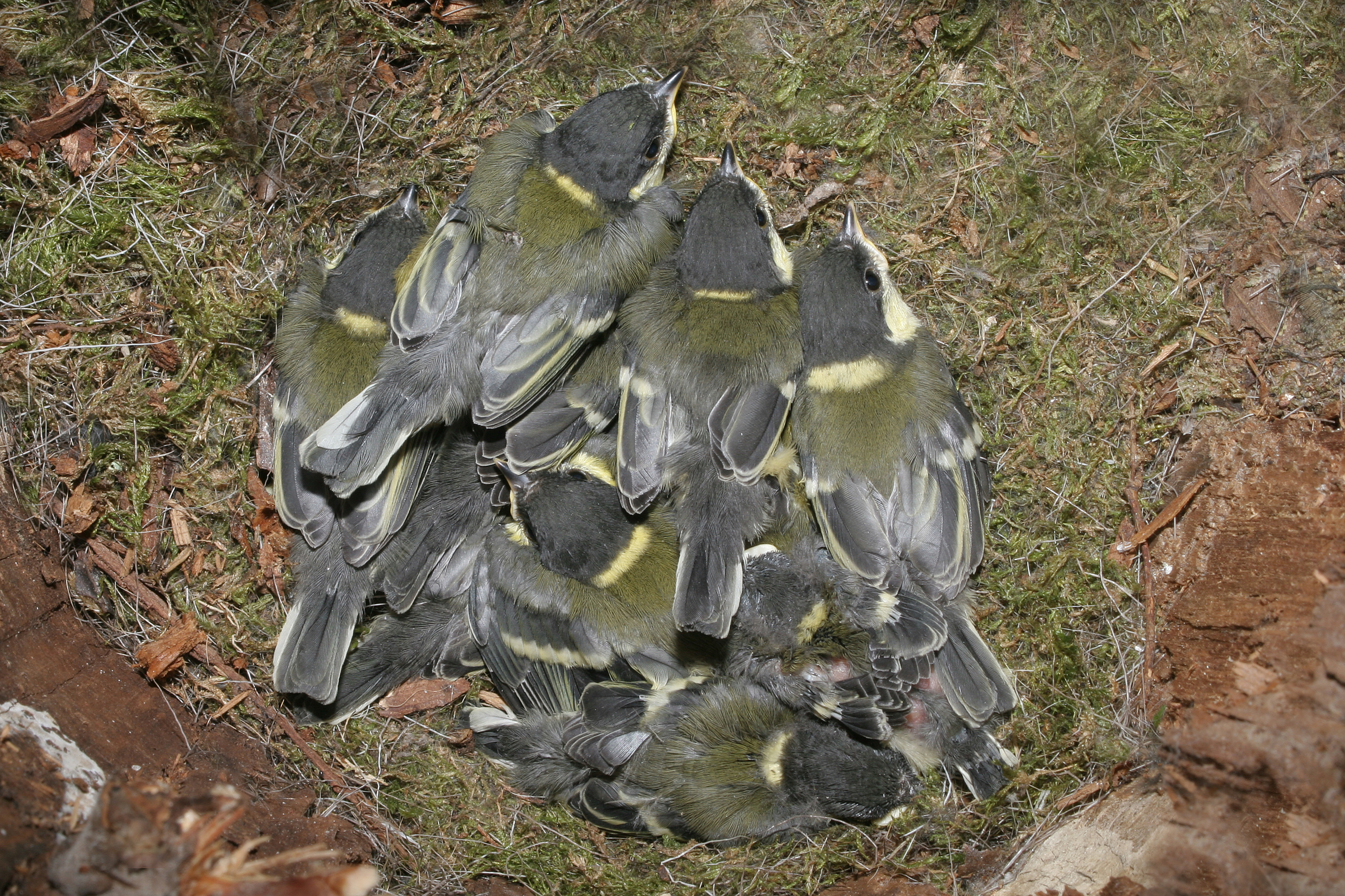 30052014092357 2435 art 1505 img 1727