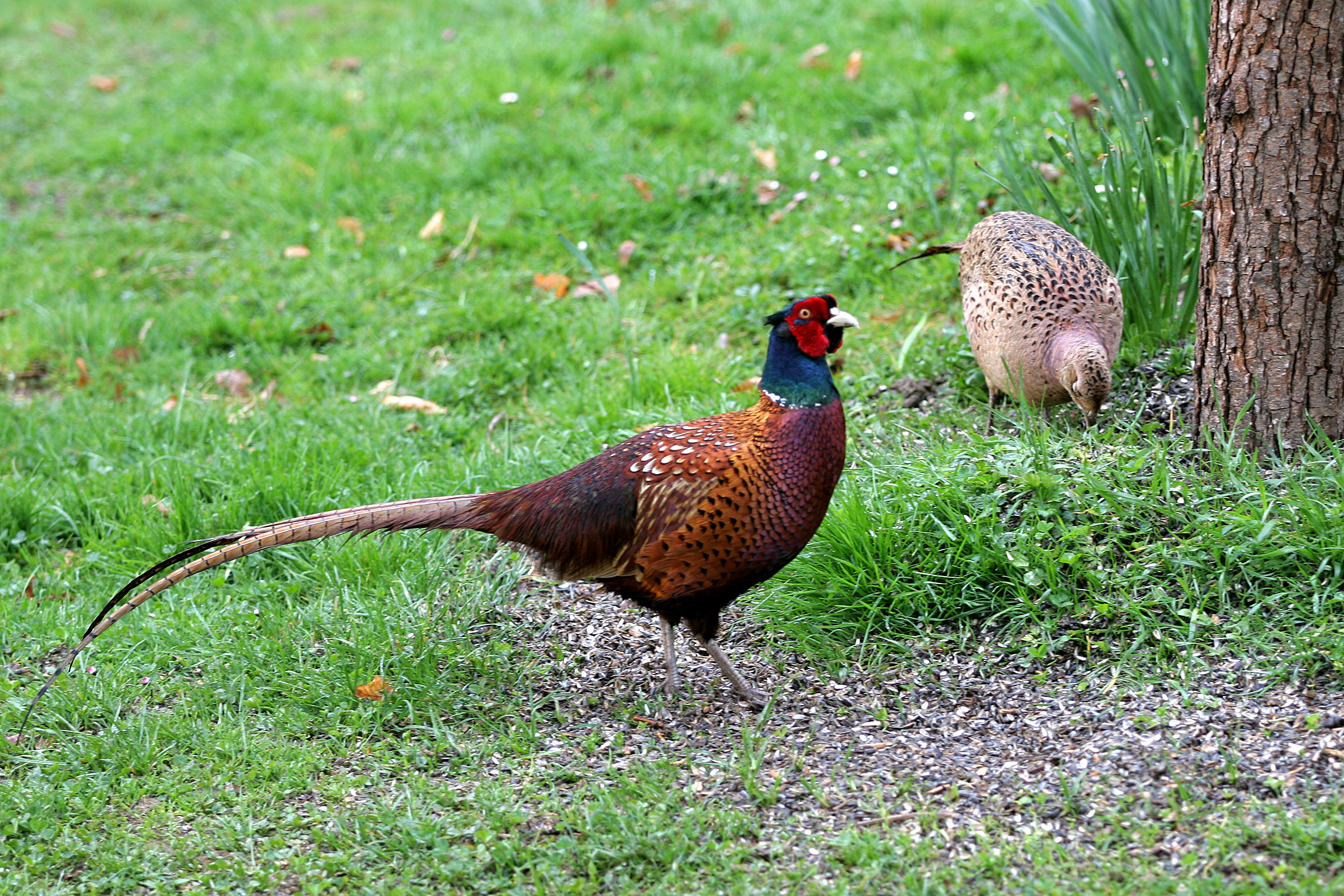 30052014095939 2438 art 1507 img 0109