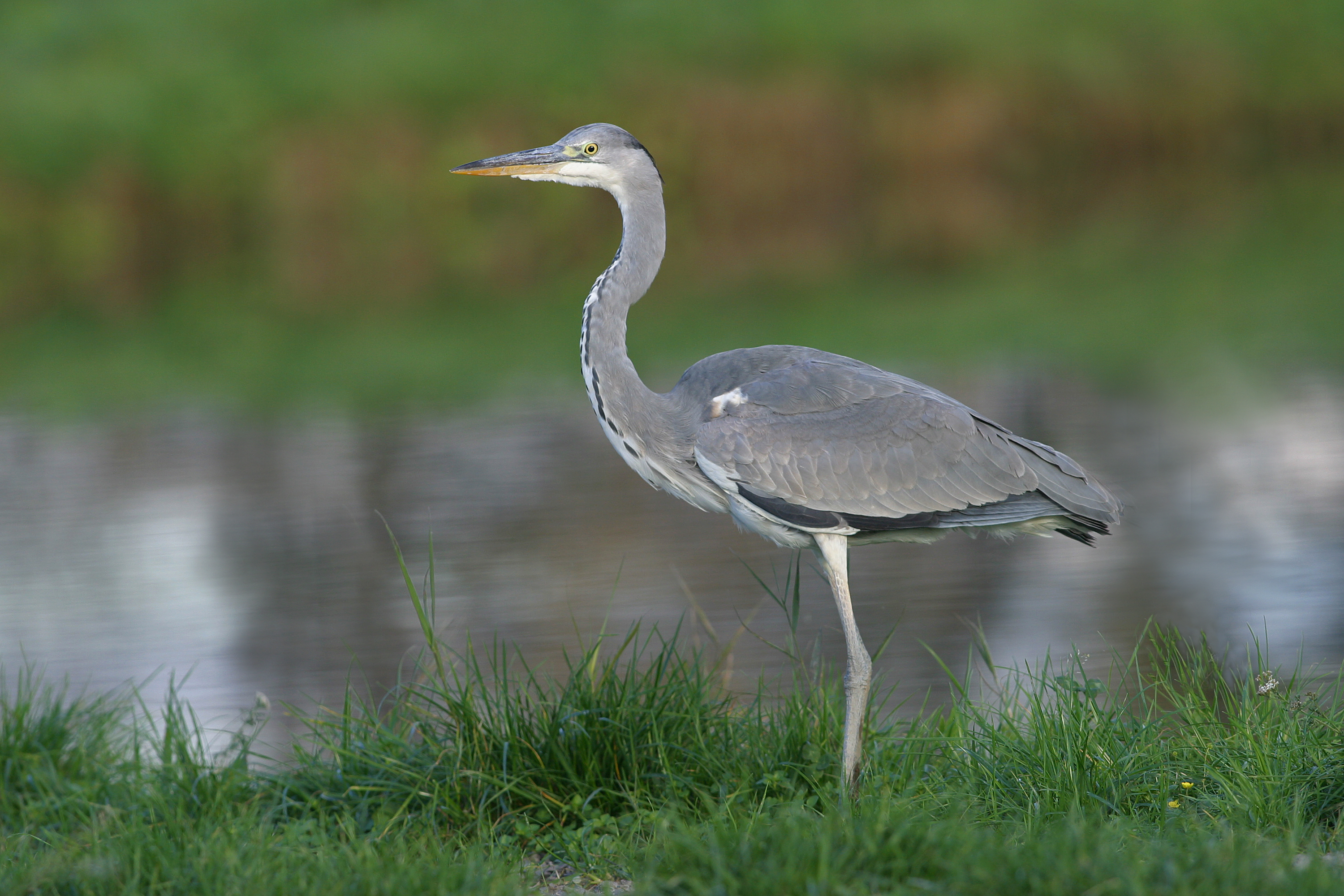 30052014102656 2441 art 1508 img 0504