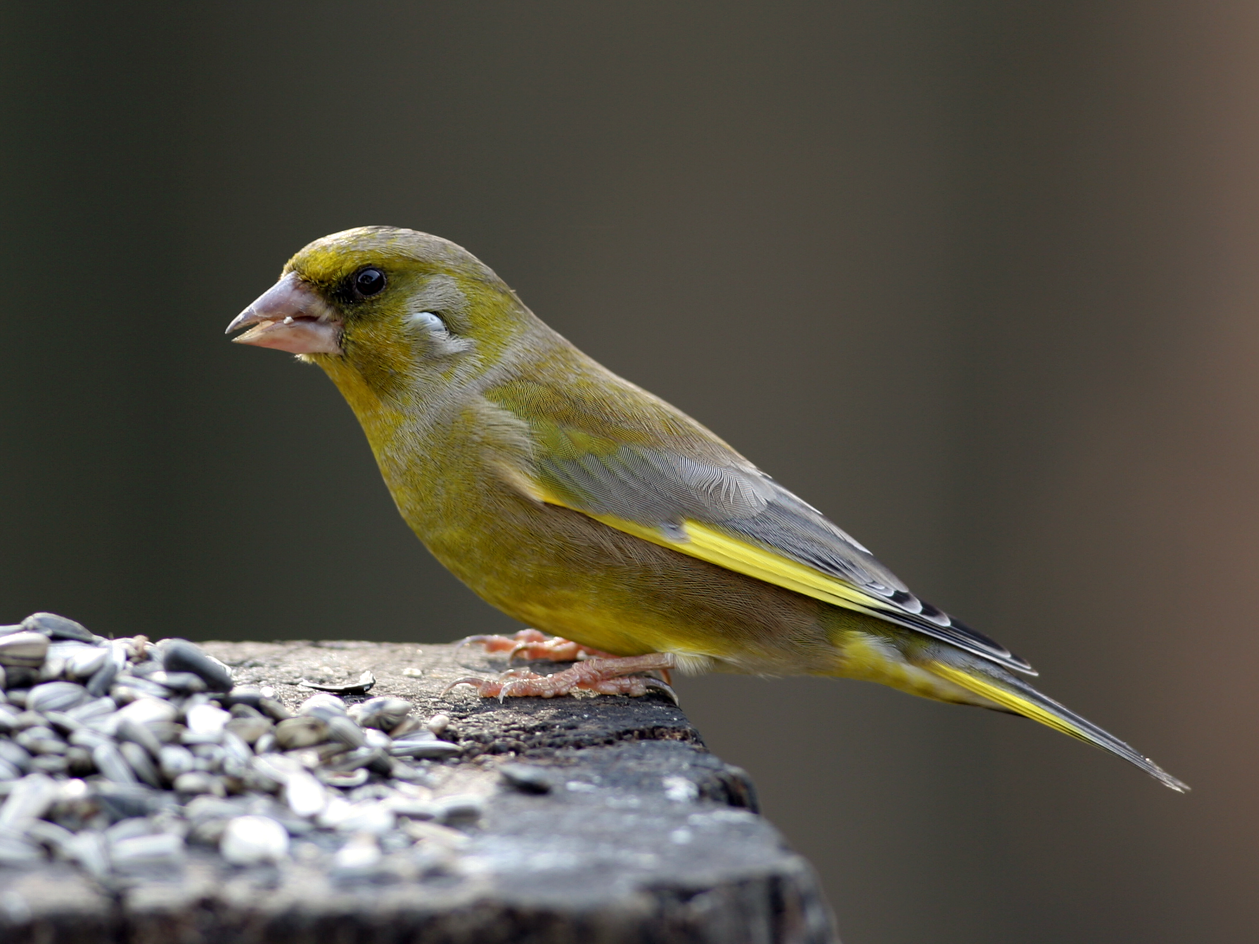 30052014105509 2443 art 1510 img 0682