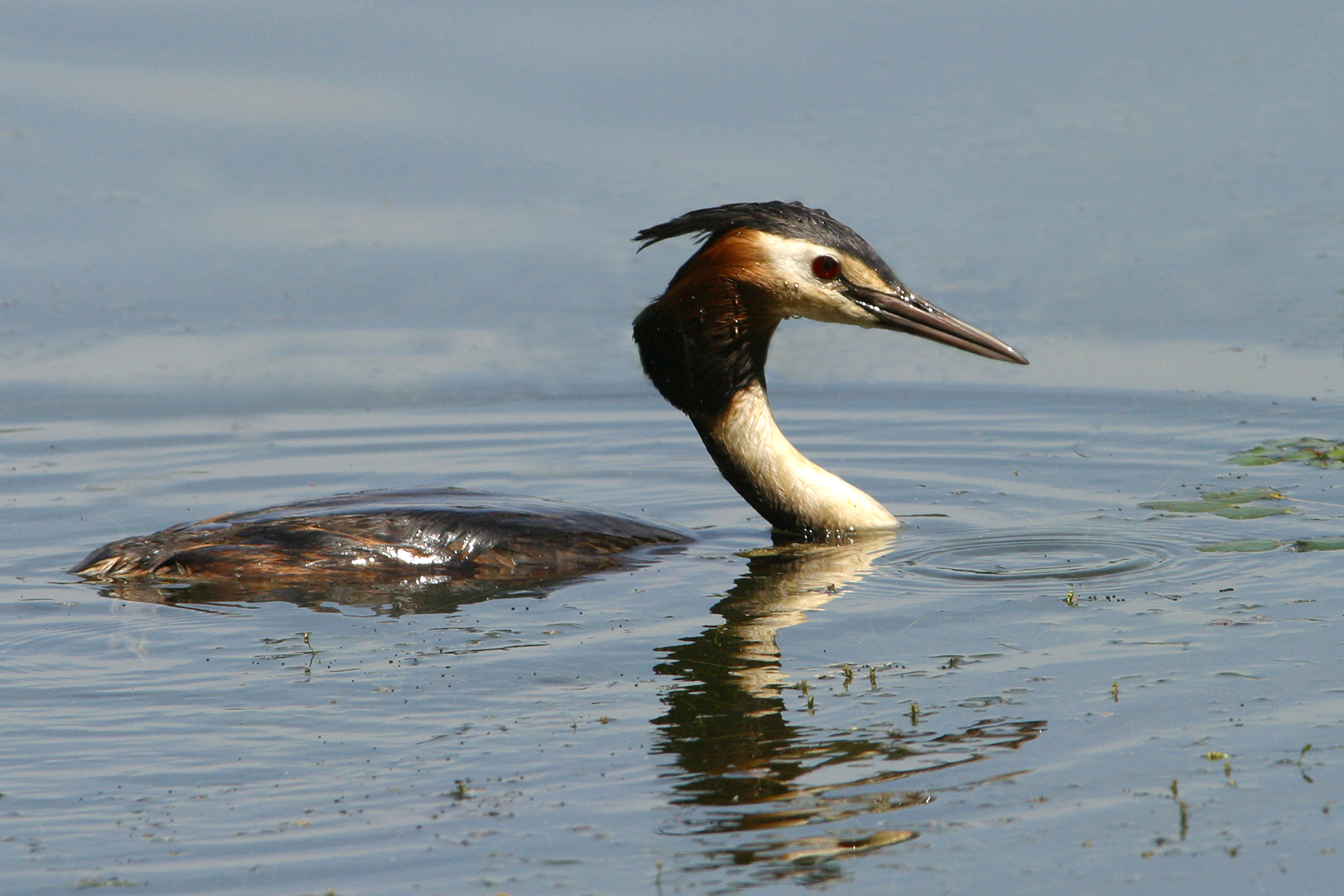 30052014121227 2450 art 961 img 2410