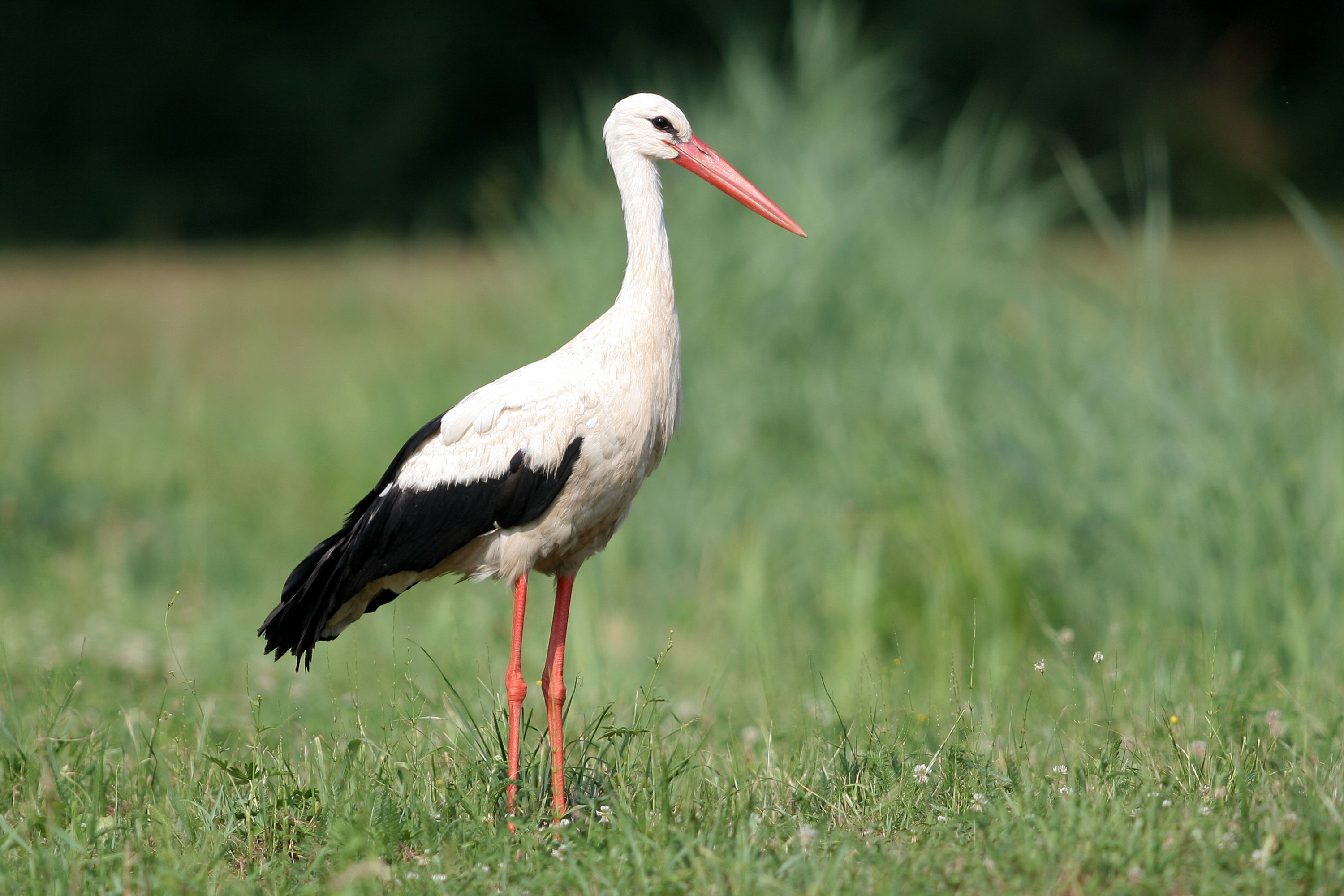 30052014121423 2451 art 833 img 2457