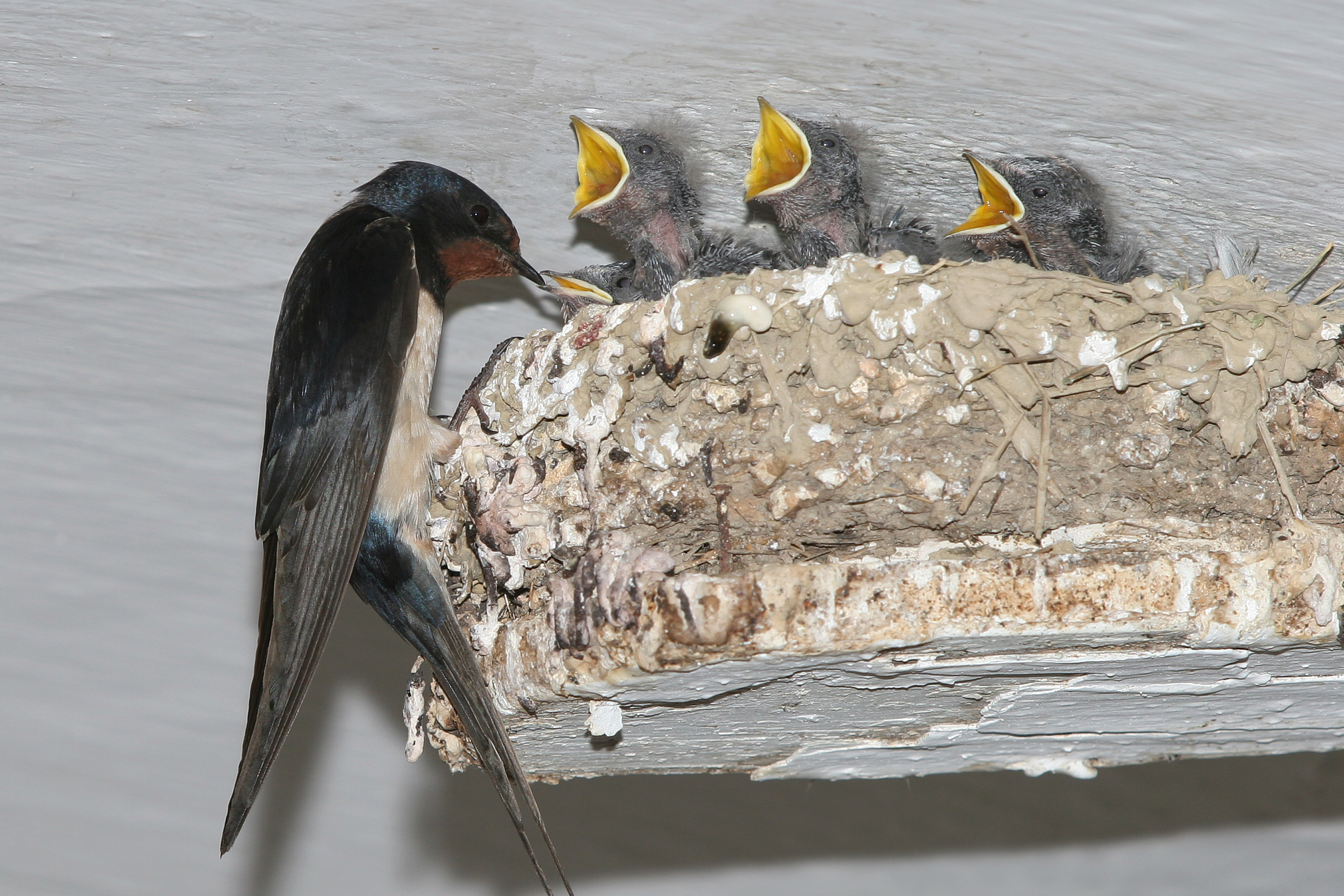 30052014122824 2452 art 1514 img 2546