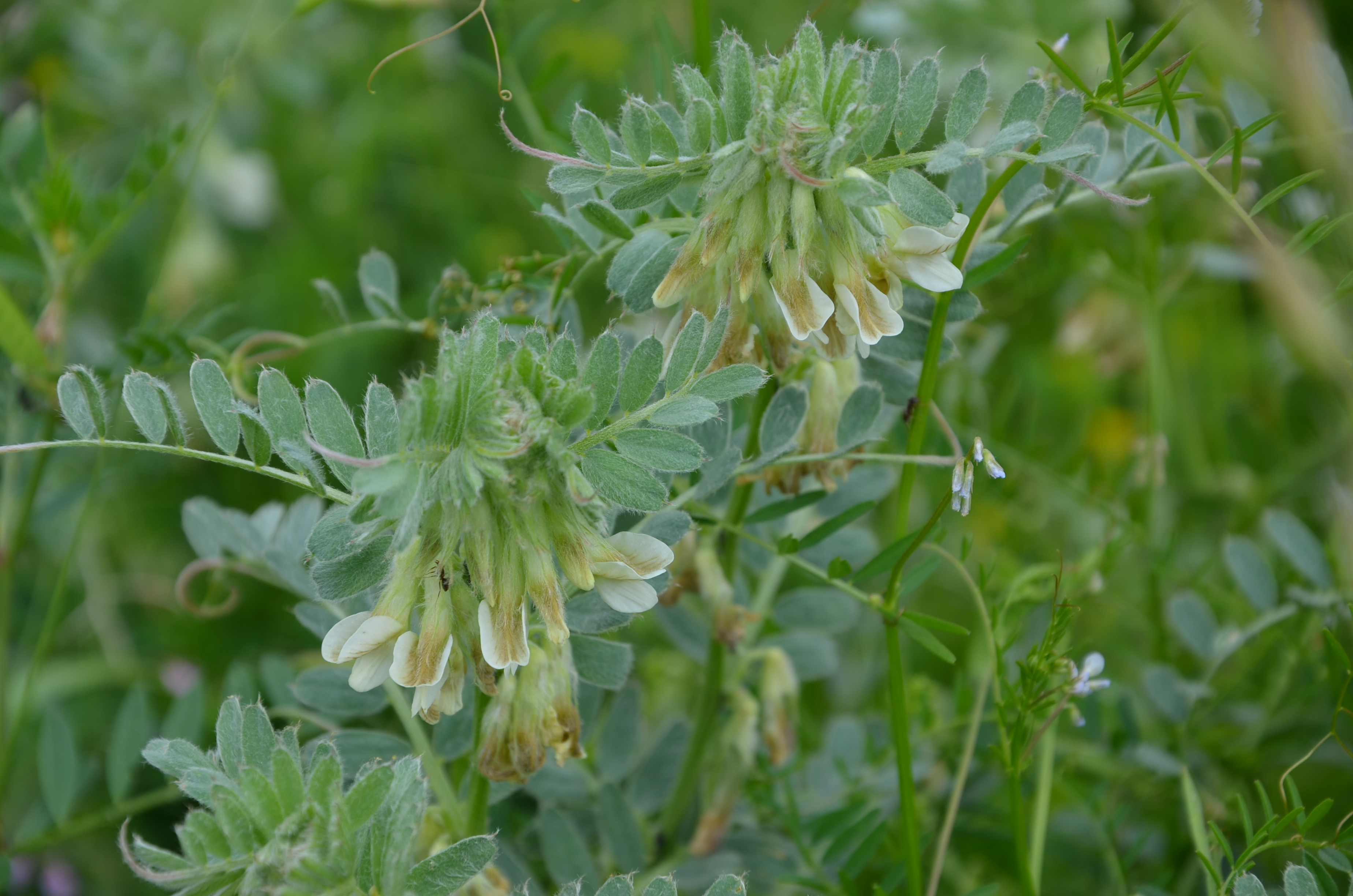 30052014191850 2471 art 1526 dsc 4999