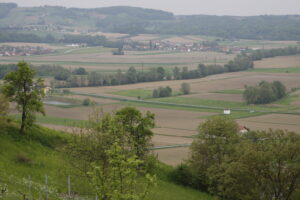 30082013214642 1743 lebensraum 1103 sulzbach johannisbrunn marktl1