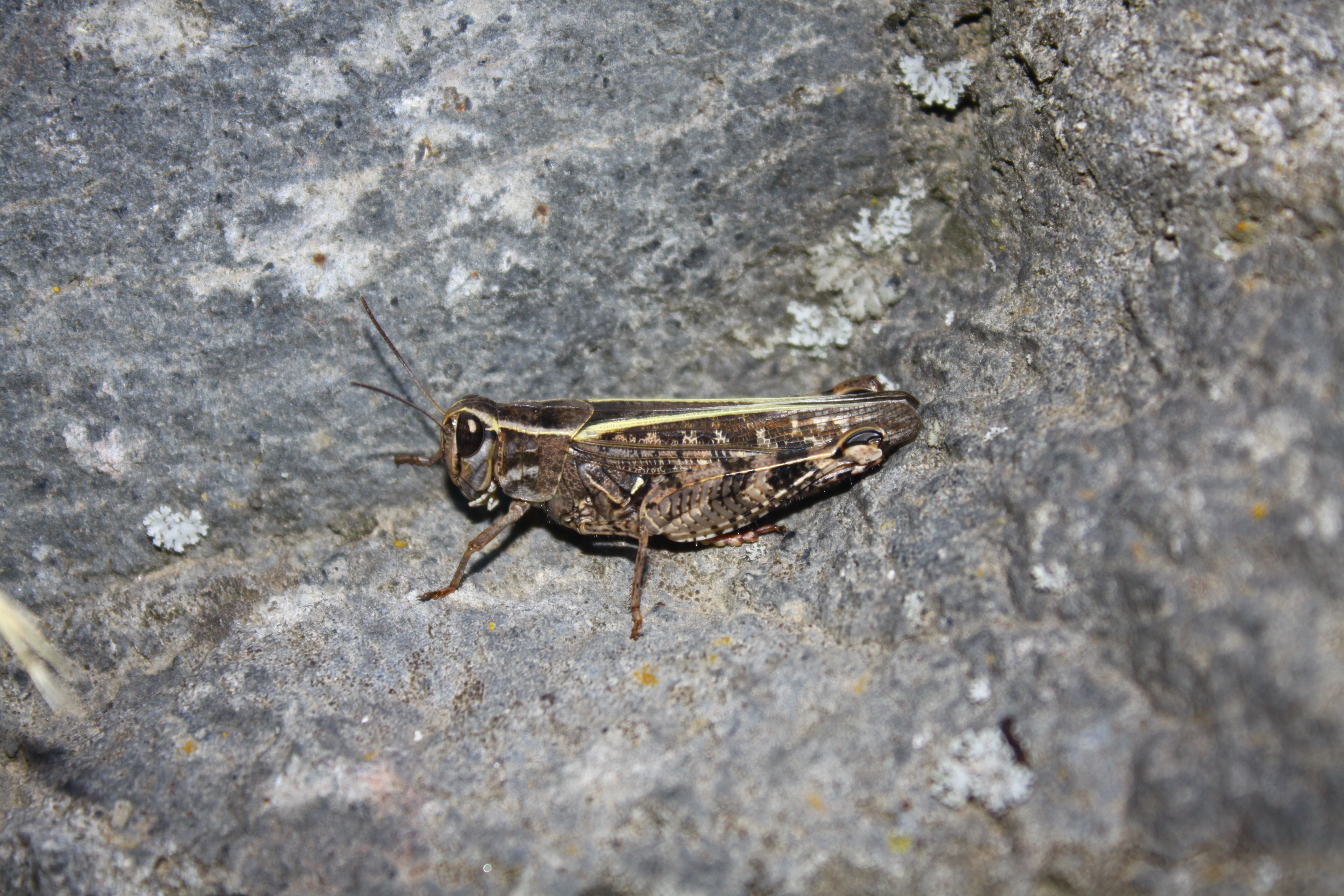 30082013221603 1748 art 865 0 251