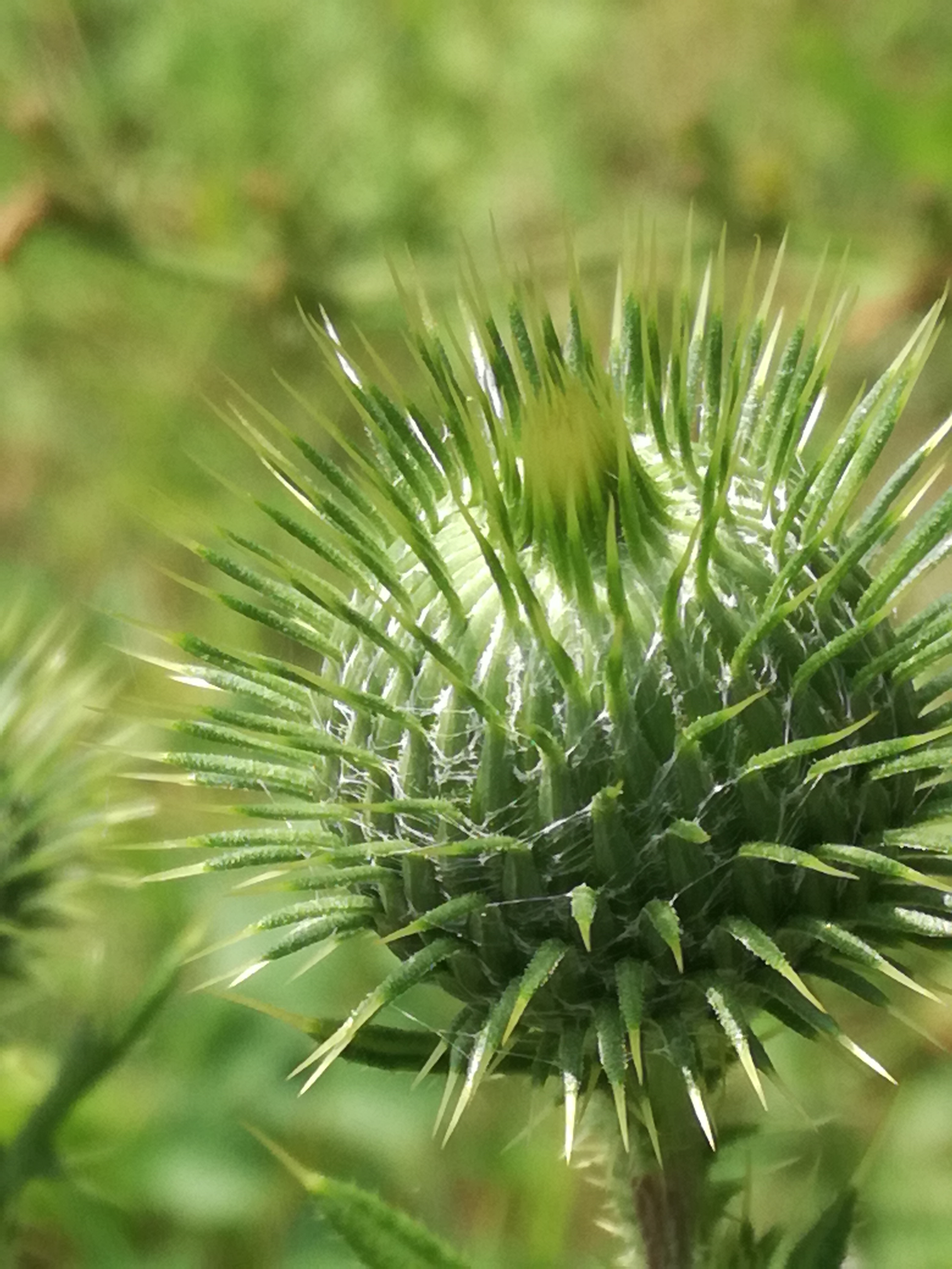 30082017182004 3036 art 1831 img 20170828 122356