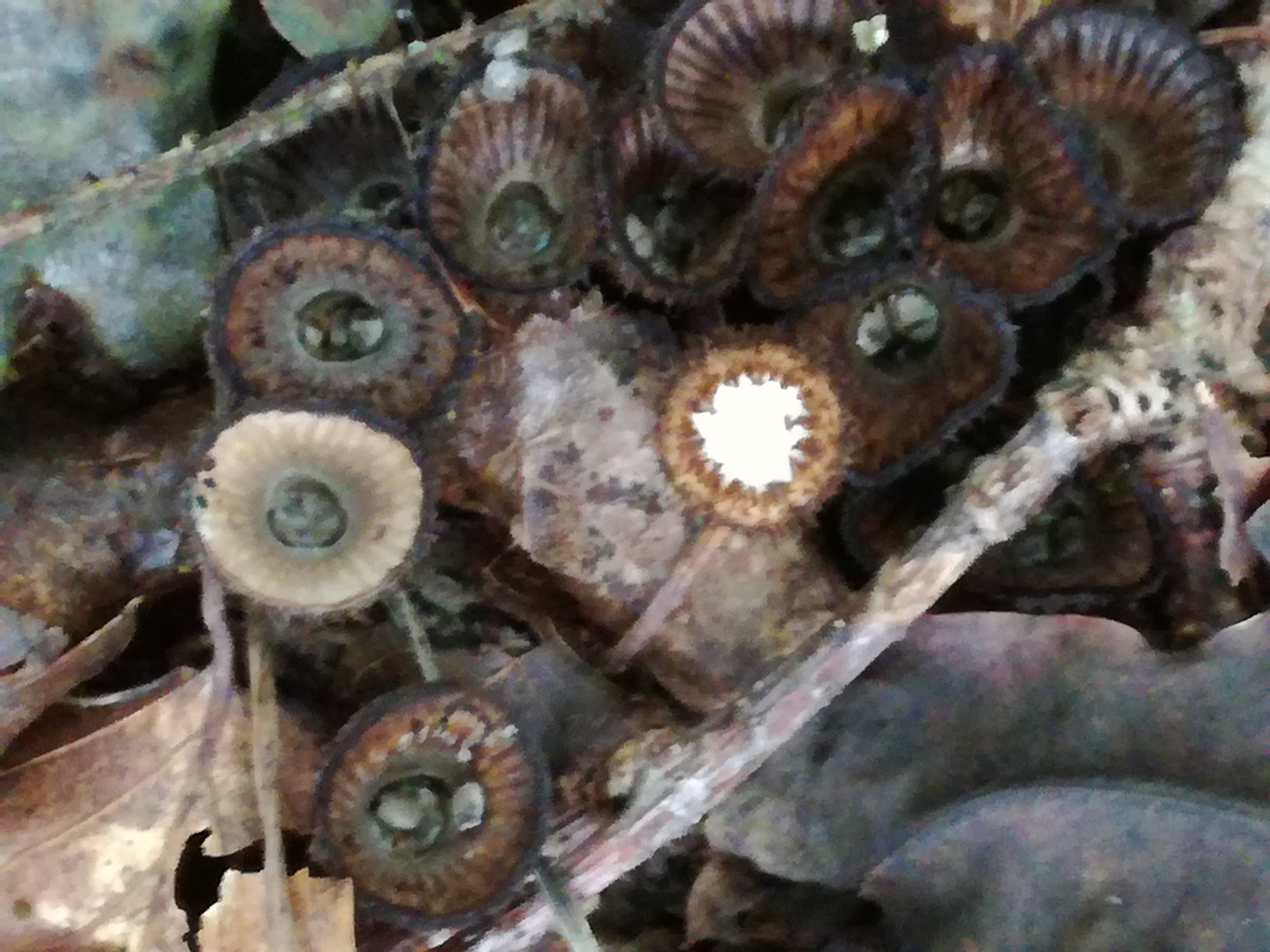 30082017184506 3042 art 1832 img 20170828 133330