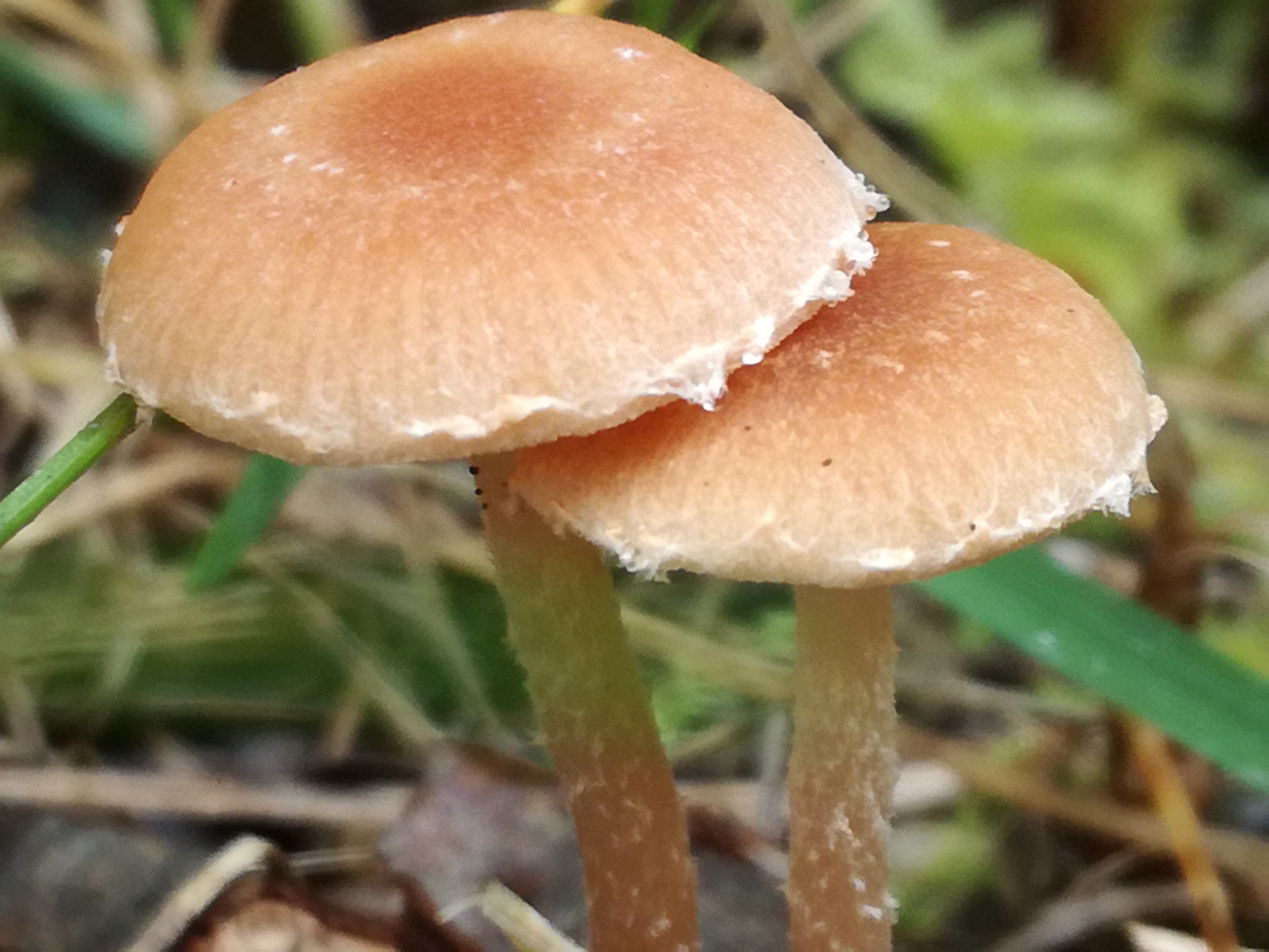 30102017213153 3183 art 1907 img 20171019 101803