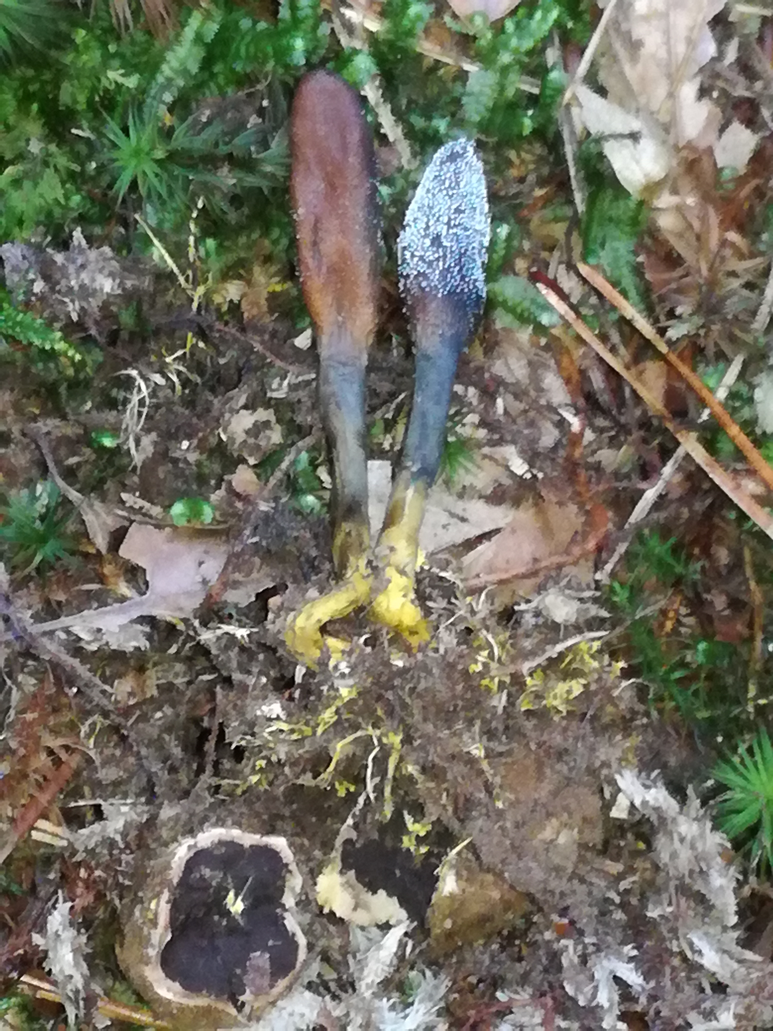 30102017232456 3196 art 1912 img 20171020 160926