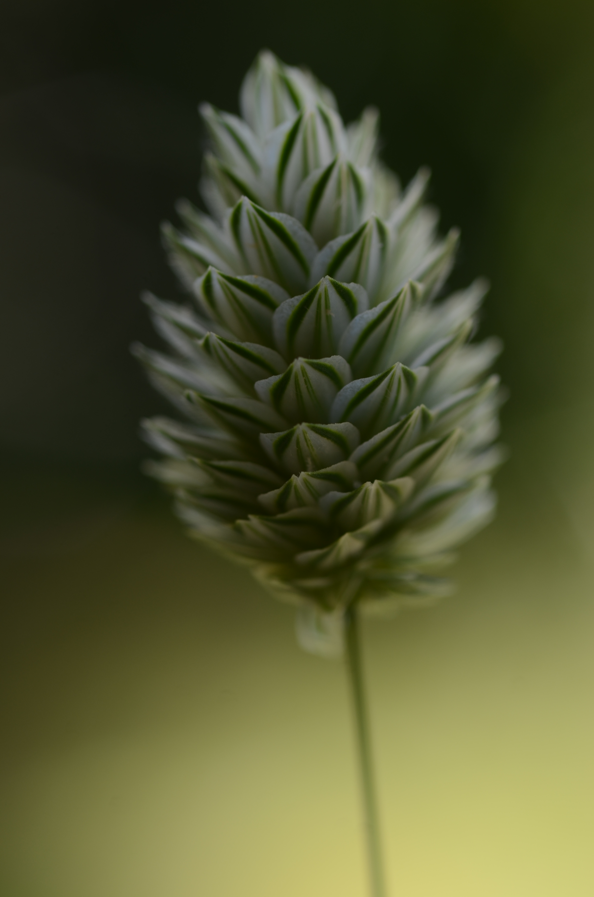 31052014103054 2473 art 1527 dsc 4740