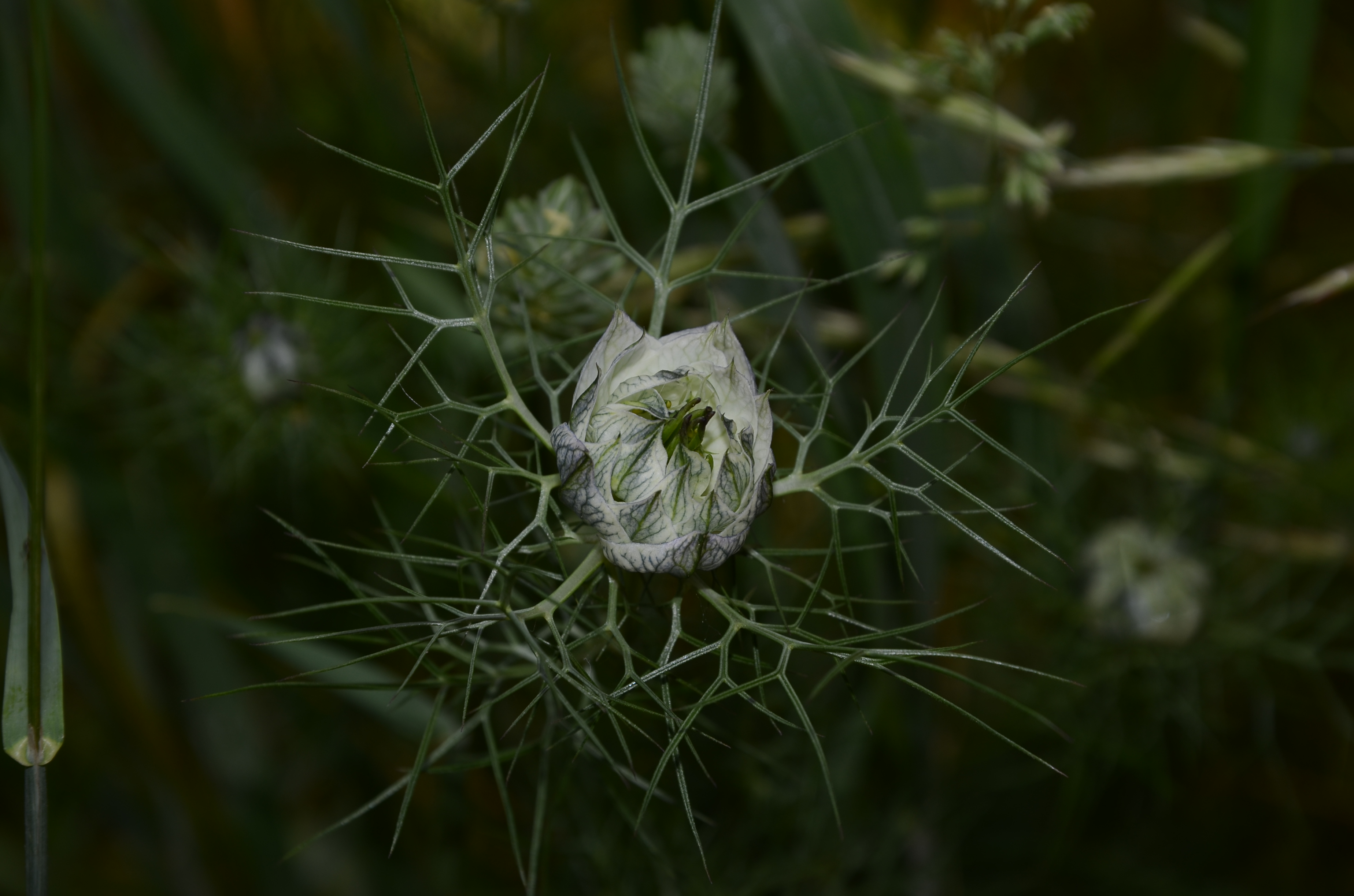 31052014105159 2476 art 1528 dsc 4714