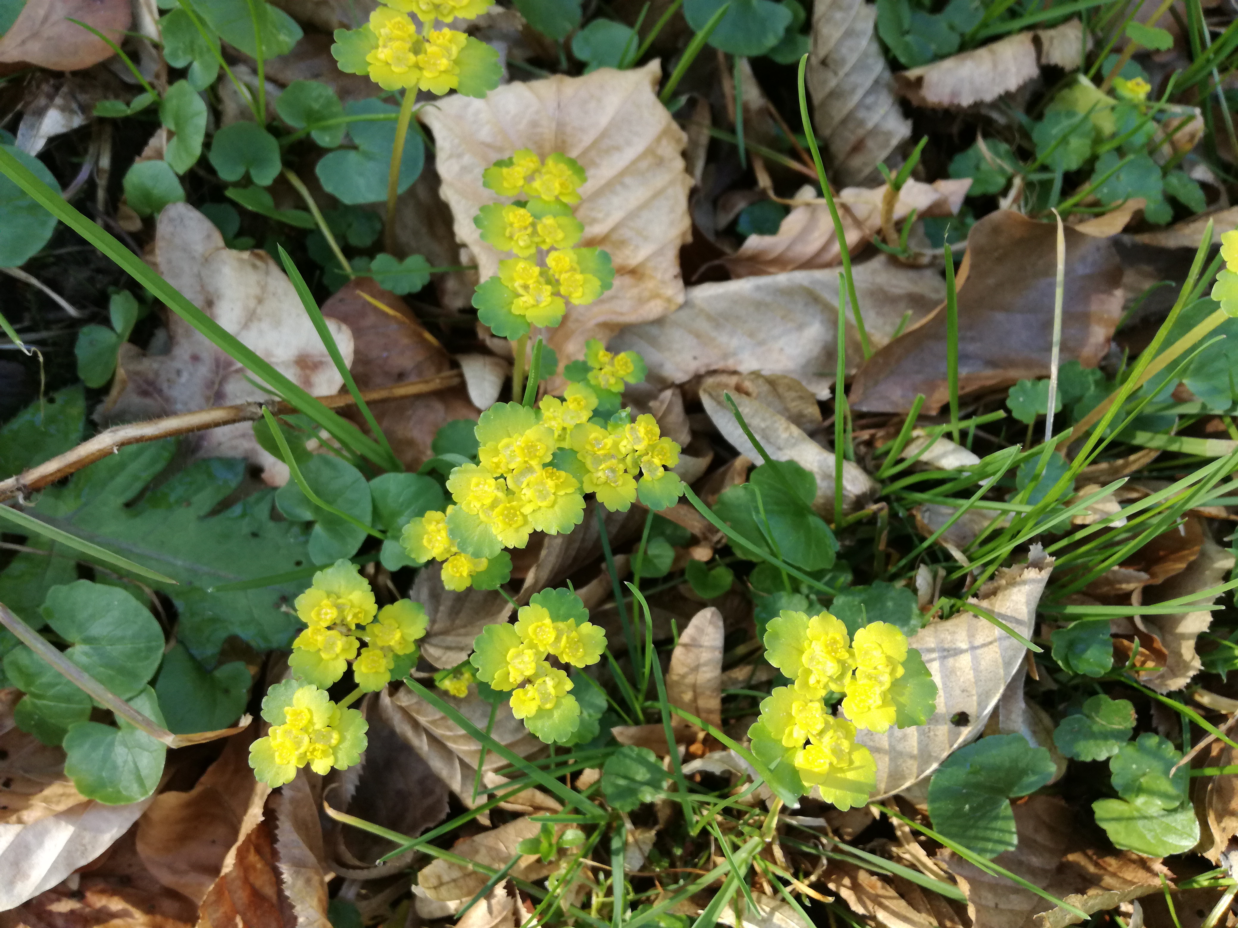 31052017121919 2906 art 73 img 20170328 100030