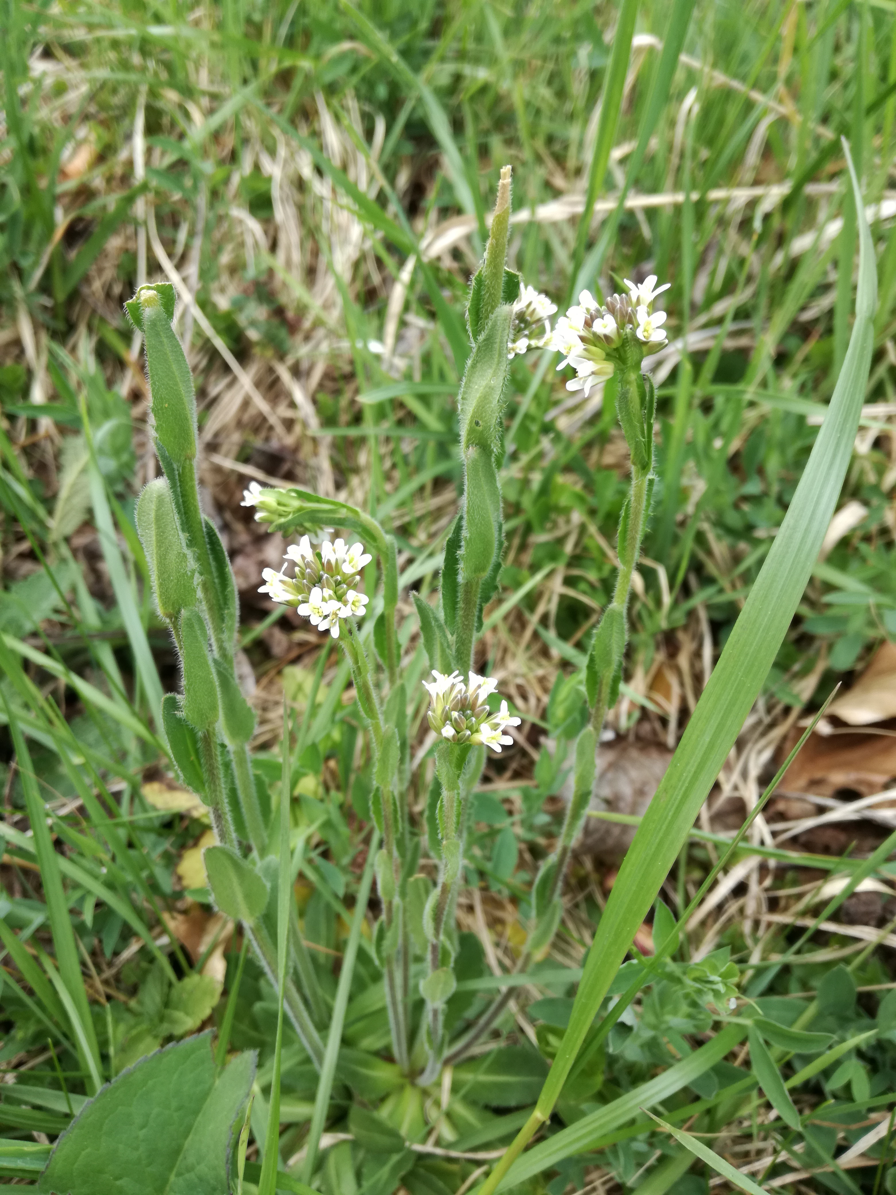 31052017123812 2910 art 1470 img 20170406 150800