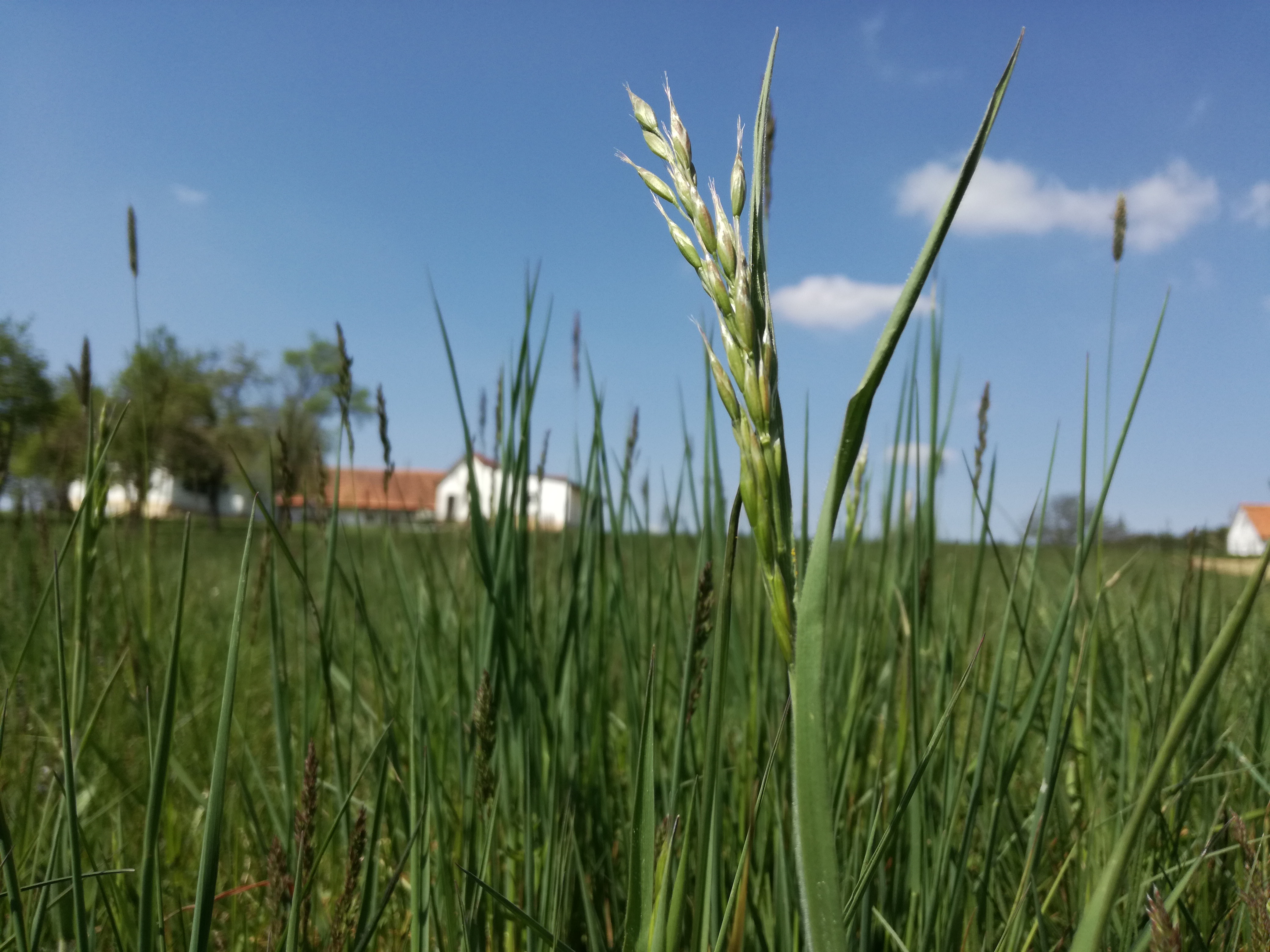 31052017141847 2918 art 492 img 20170421 134644