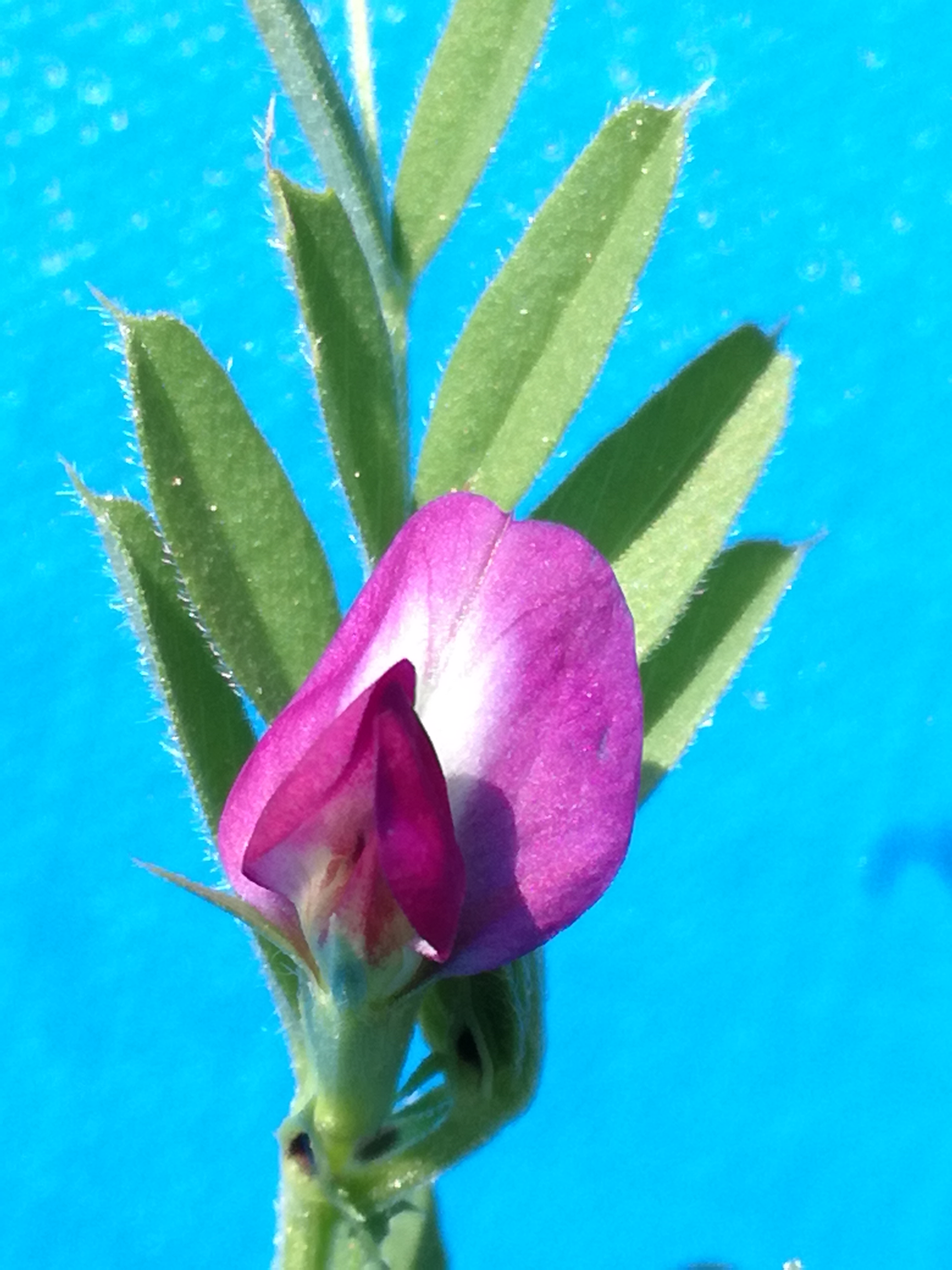 31052017142552 2919 art 1797 img 20170421 135134