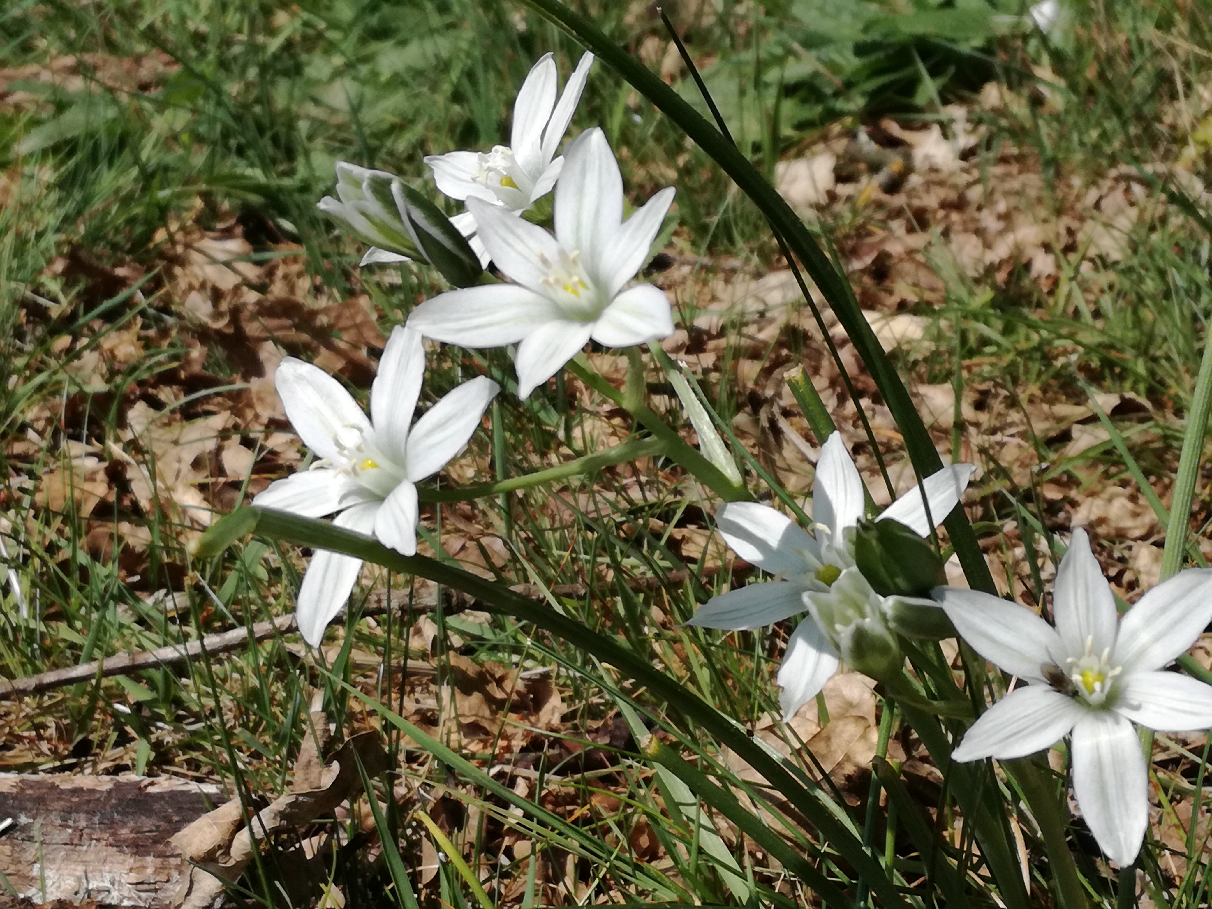 31052017143027 2920 art 1476 img 20170421 140057