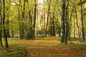 31072013180248 1249 lebensraum 1109 bergholzer2