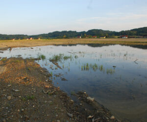 Abbauflächen (Schotter- und Lehmgruben)