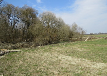 Raab, Feistritz und Lafnitz